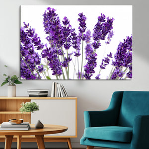 Lavender Flower Wall Art Canvas Print