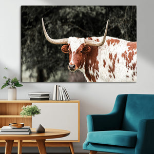 Texas Longhorn Wall Art Canvas Print – Framed Spotted Bull