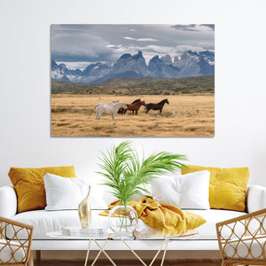 Grand Teton Park Wild Horses Wall Art Canvas Print – Framed