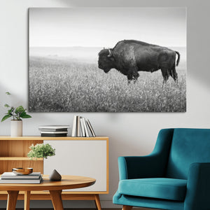 Bison in Prairie Wall Art Canvas Print – Framed Rustic