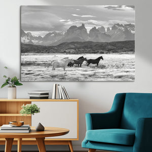 Wild Horses Wall Art Canvas Print – Framed Black and White