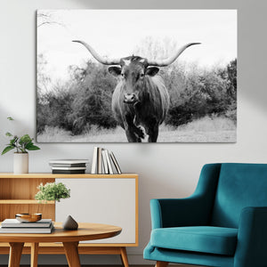 Longhorn Photography Wall Art Canvas Print – Framed Western