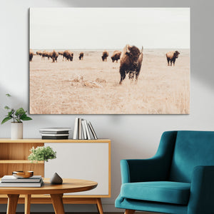 Bison Herd Wall Art Canvas Print, Framed Western Landscape