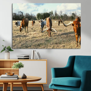Texas Longhorns Wall Art Canvas Print – Framed Rustic Farm