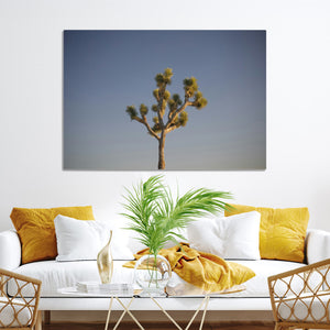 Joshua Tree Wall Art Canvas Print – Framed Southwestern