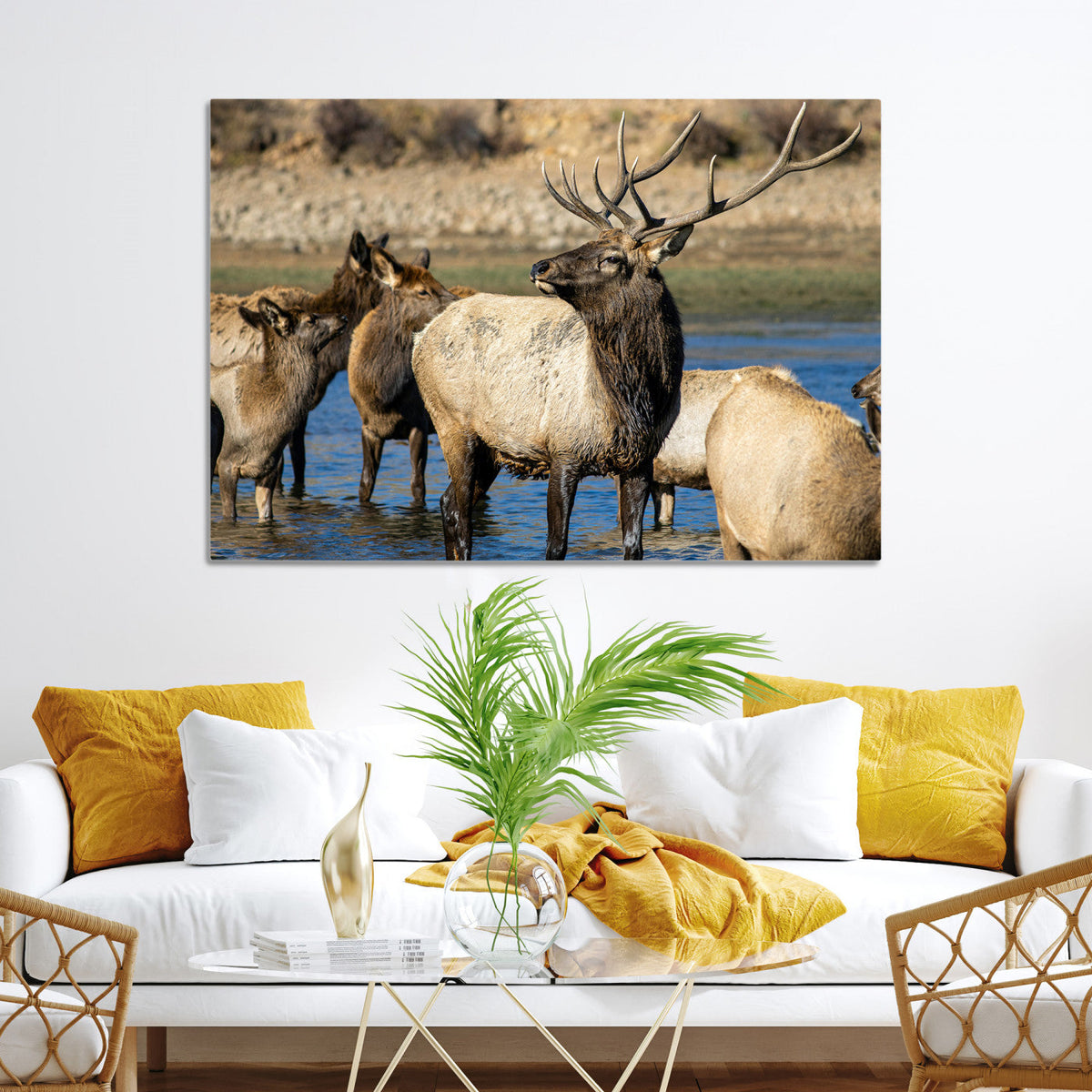 Wild Elk Wall Art Canvas Print – Framed Neutral Wildlife