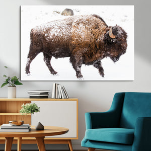 Snowy Buffalo Wall Art Canvas Print – Framed Wildlife