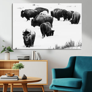 Buffalo Herd Wall Art Canvas Print – Framed Black and White