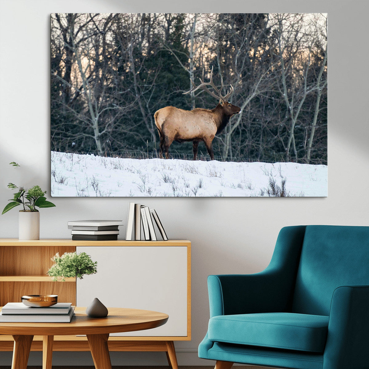 Wild Elk Wall Art Canvas Print – Framed Winter Wildlife