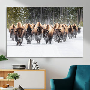 American Bison Herd Wall Art Canvas Print – Powerful Winter