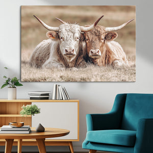 Couple Highland Cows Wall Art Canvas Print – Peaceful Meadow