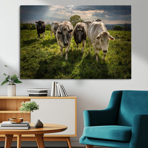 Grazing Cattle Herd Pasture Green Field Livestock Natural
