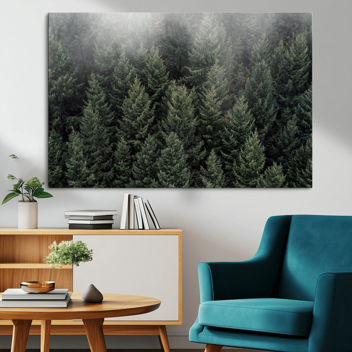 Dense Evergreen Forest Misty Morning Fog Pine Trees Woodland