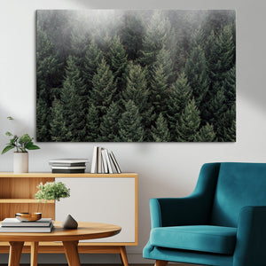 Dense Evergreen Forest Misty Morning Fog Pine Trees Woodland
