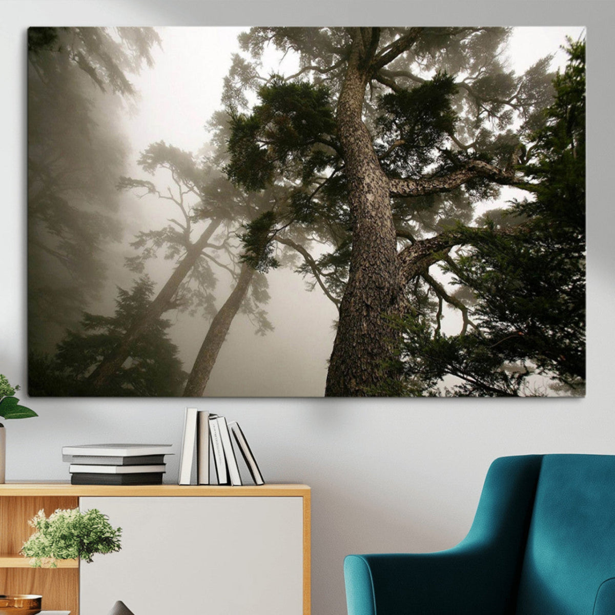 Misty Forest Canvas, Tall Trees Foggy Atmosphere Nature