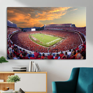 Dooley Stadium Wall Art, Sports Arena Canvas Print, Dooley
