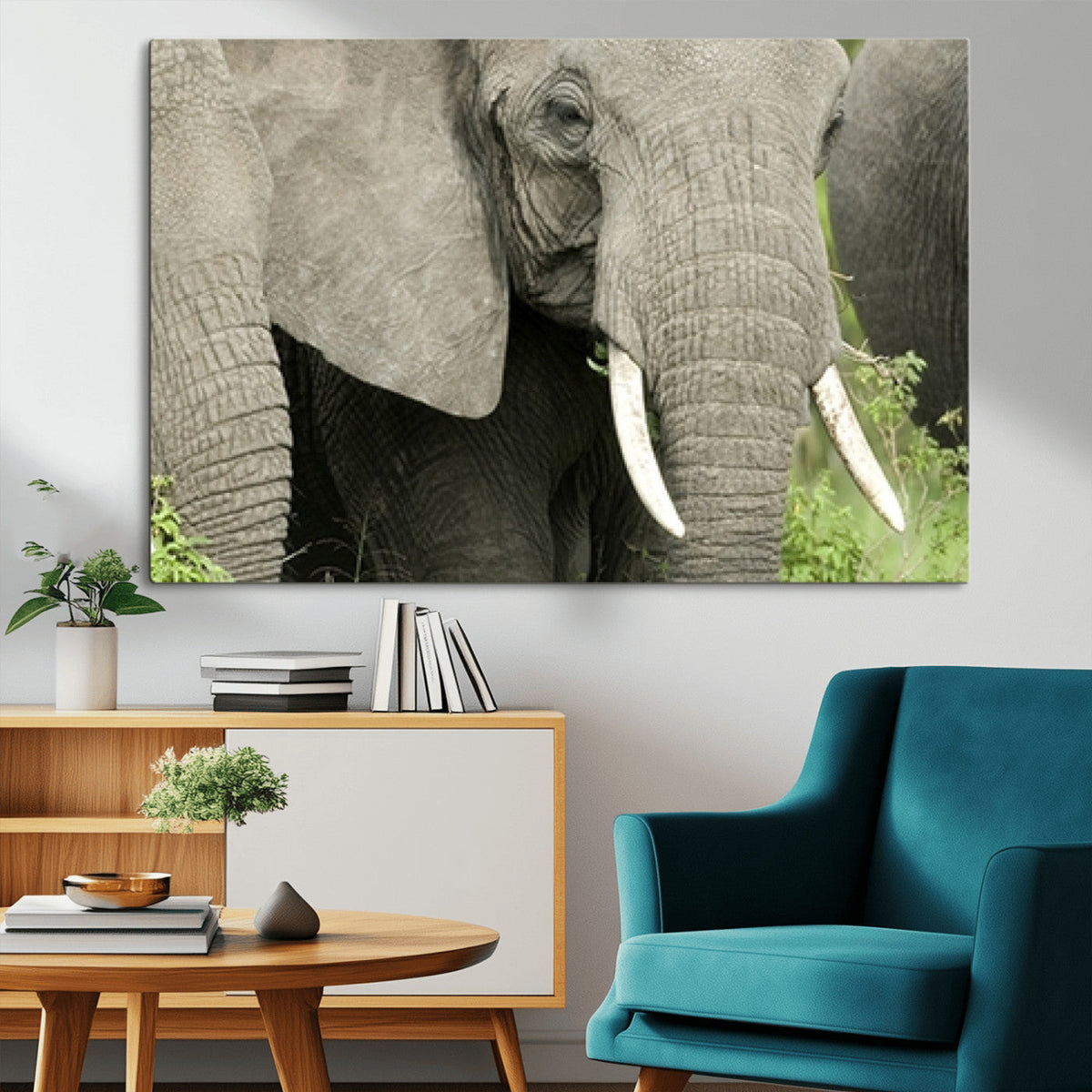 Wild Elephant Wall Art Canvas Print