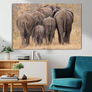 Wild Elephant Wall Art Canvas Print