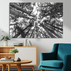 Trees Contemporary Art Canvas Print