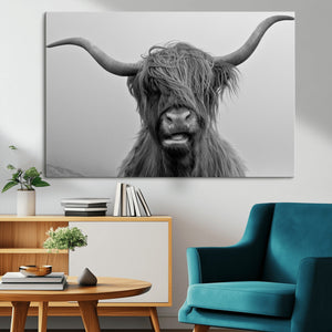 Texas Cow Wall Art Canvas, Texas Longhorn Cattle Canvas