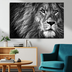 Black and White Lion Canvas Wall Art Print – Wildlife