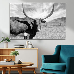 Cattle Wall Art Longhorn Cow Canvas Print