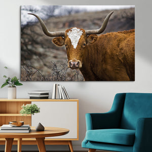 Texas Longhorn Canvas Wall Art - Longhorn Steer Canvas Wall