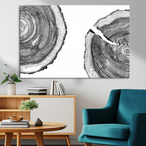 Abstract Large Tree Rings – Minimalist Black and White Wood