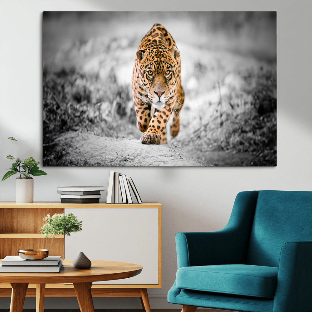 Jaguar Wall Art Canvas Print - Majestic Big Cat in Focused