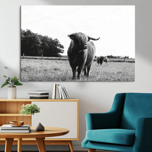 Black and White Highland Cow Wall Art Canvas Print | Rustic