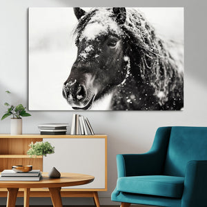Framed Black and White Horse Wall Art | Ready to Hang and