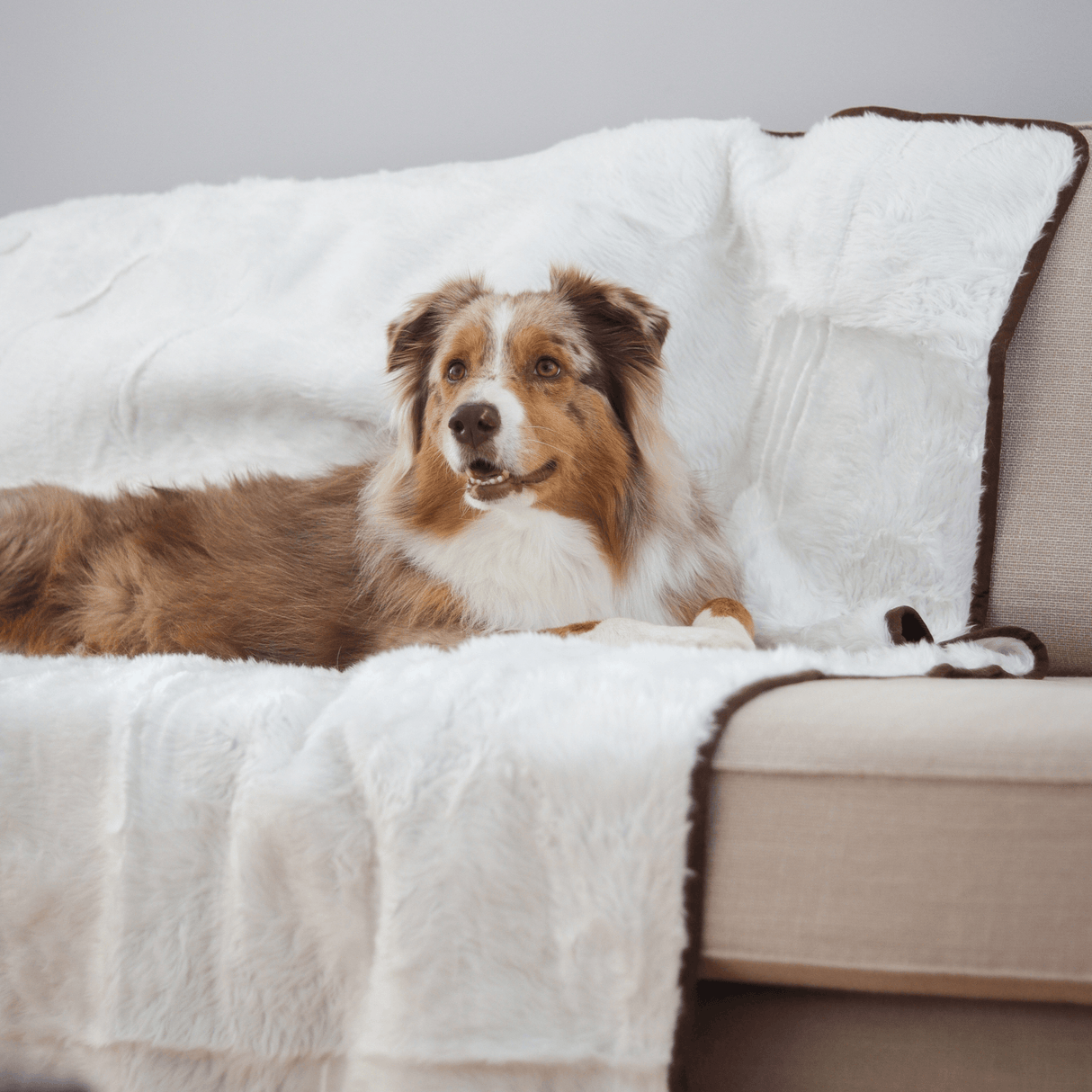 PupProtector™ Summer Short Fur Waterproof Throw Blanket - Polar White