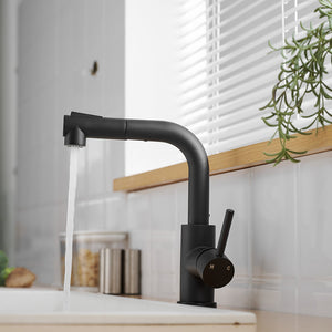 Black Kitchen Sink Faucet with Pull Down Sprayer