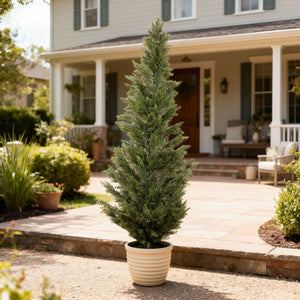 Realistic Artificial Cypress Tree, UV Resistant Indoor / Outdoor Topiary Plant