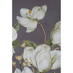 31.5' x 47' Botanical Wall Art Prints