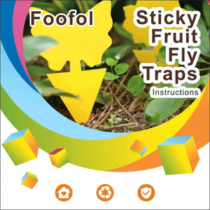 Fruit Fly & Fungus Gnat Traps 36 Pack – Yellow Sticky Bug Traps, Non-Toxic, Odorless, Indoor & Outdoor Plant Protection