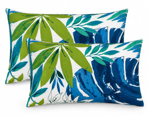 2 Pack Outdoor Lumbar Pillow with Inserts