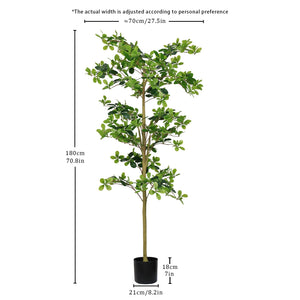 6FT Tall Artificial Polyscias Fruticosa Tree for Indoor Decor