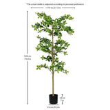 6FT Tall Artificial Tree, Fake Polyscias Fruticosa Plant for Indoor Decor