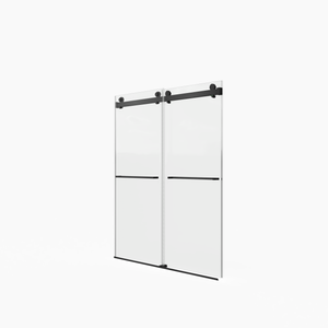 Frameless Double Sliding Shower Door