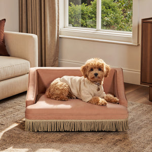 Duchess 33' Medium Princess Pet Bed Sofa with Fringe Skirt, Peach Orange Performance Velvet