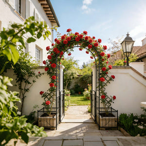 Metal Garden Arch With Gate Wide High Climbing Plants Support Rose Arch Outdoor - Black