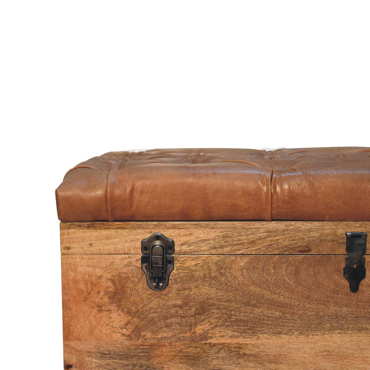 Buffalo - Storage Trunk