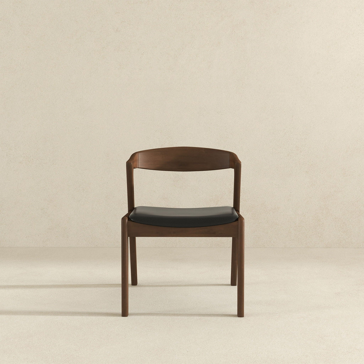 Dakota - Mid-Century Modern Dining Chair (Set of 2)