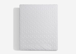 BedGear Dri-Tec Twin XL Mattress Protector