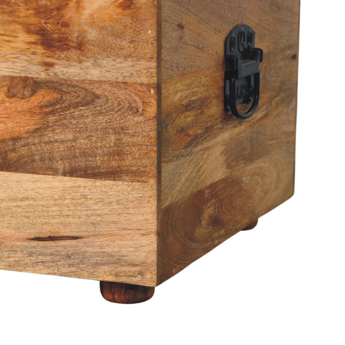 Buffalo - Storage Trunk