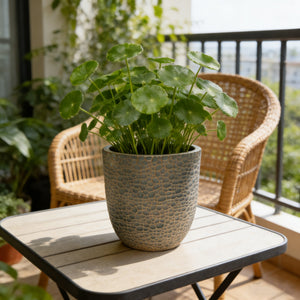 Large Outdoor Indoor Planter Set of 3