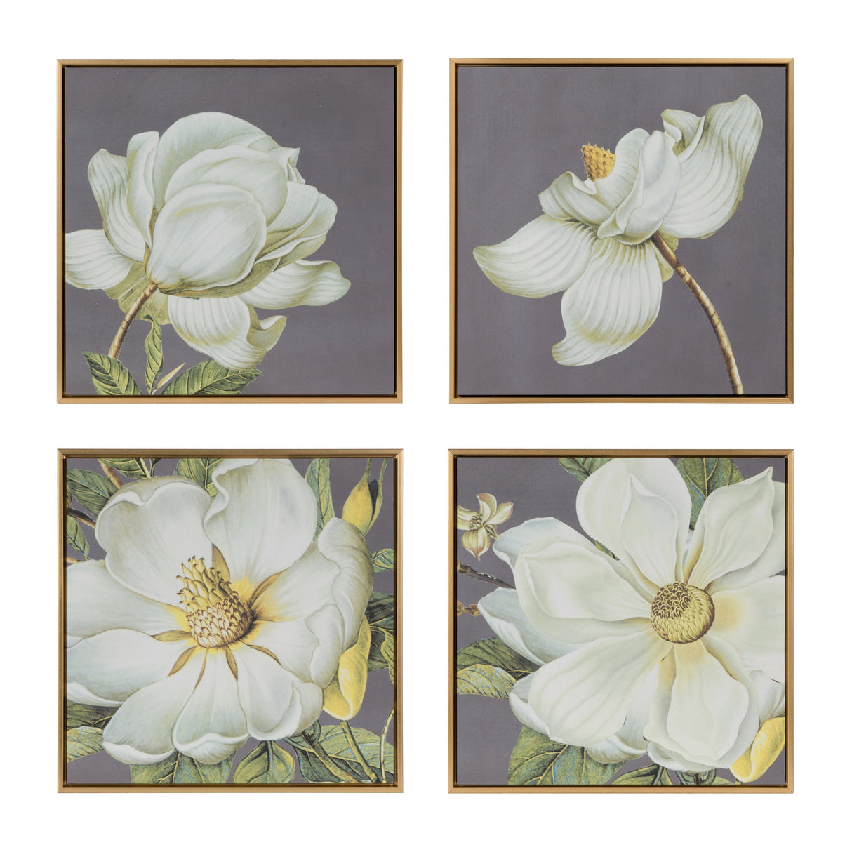 Set of 4 White and Gold Botanical Wall Art Prints, 20” x 20”