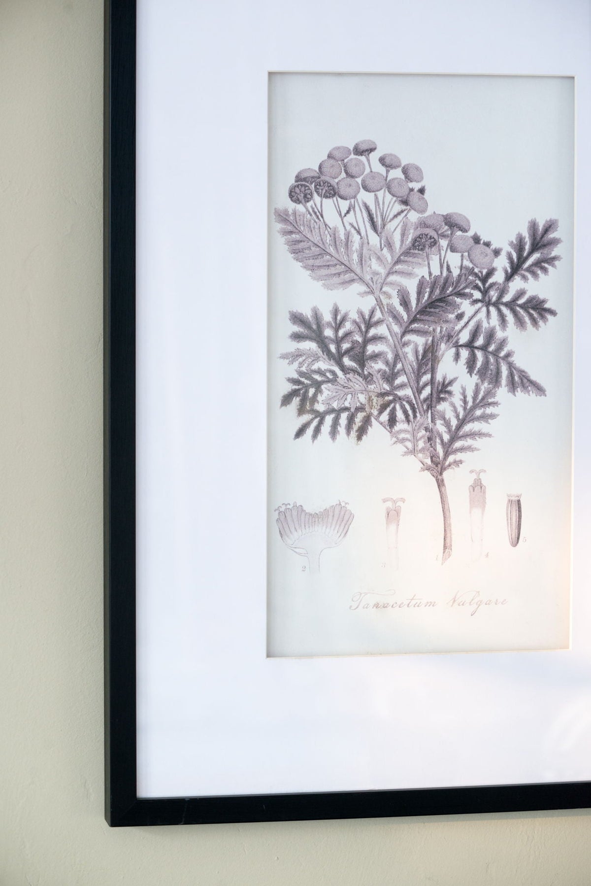 Botanical Wall Art Prints, Home Decor For Living Room Dining Room, Bedroom, Hallway (Set of 4) - White / Black