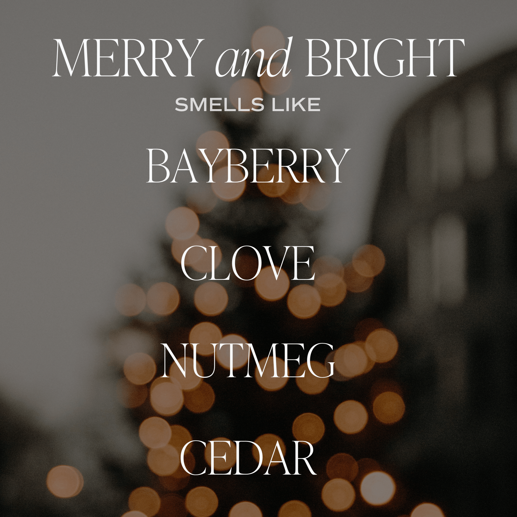 Sweet Water Decor Soy Candle - Thumbnail 5